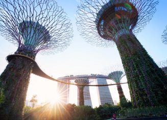 3ff28cf1b79a4e428958e4eb23d0d9f3_medium