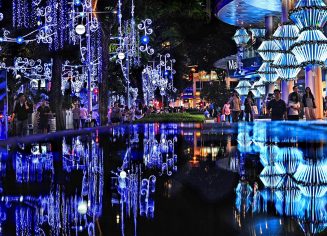 christmas_orchard_2011-56a40d853df78cf7728095e2